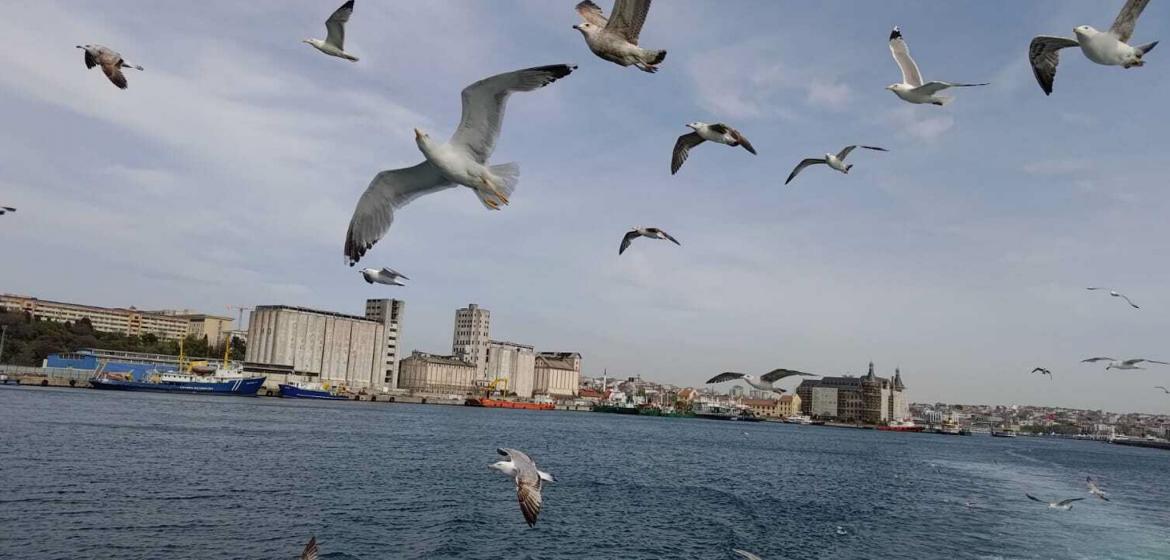 Auf der Fähre zwischen Kadiköy und Karaköy in Istanbul. Foto: Clara Taxis.