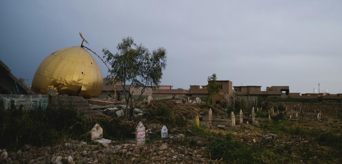 Sinjar, Irak. Foto: Levi Meir Clancy