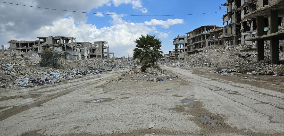 A palmtree is growing in midst of the destruction in Yarmouk. Credits: Andreas Schüller
