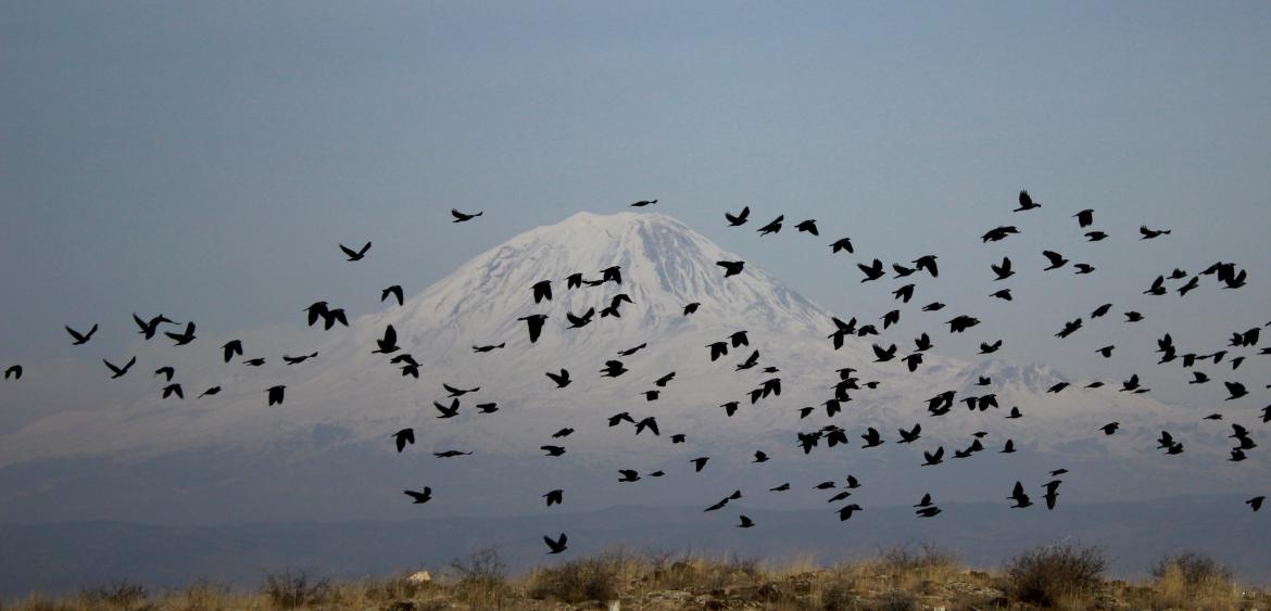 Am Fußes des Bergs Ararat entstand der Film "Zare". Foto: Zeynep Güldüre, via Wikimedia Commons, Lizenz CC BY-SA 4.0