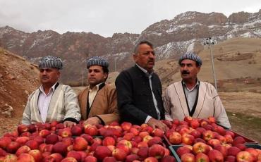 Vier kurdische Männer stehen hinter Kisten voller roter Äpfel. Foto: „1001 Apples“