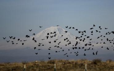 Am Fußes des Bergs Ararat entstand der Film "Zare". Foto: Zeynep Güldüre, via Wikimedia Commons, Lizenz CC BY-SA 4.0