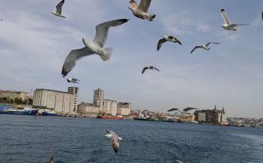 Auf der Fähre zwischen Kadiköy und Karaköy in Istanbul. Foto: Clara Taxis.