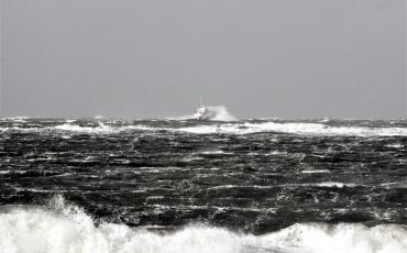 Foto: olleaugust, Pixabay