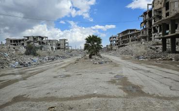 A palmtree is growing in midst of the destruction in Yarmouk. Credits: Andreas Schüller